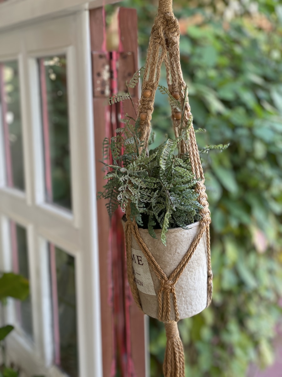 Pothos N'Joy